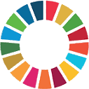 SDG wheel